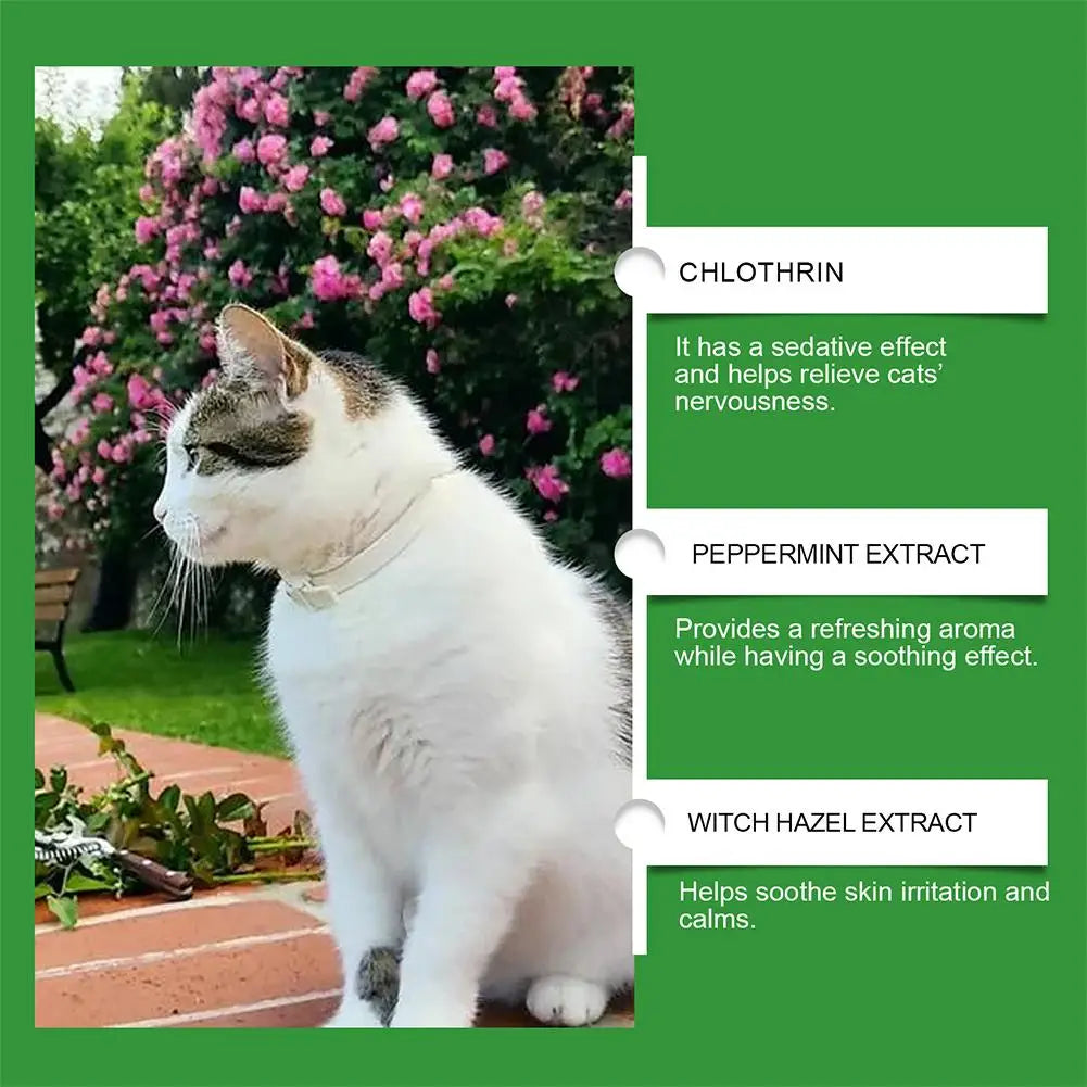 Gentle Cat Calming Diffuser with Heater Natural Extracts Reduce Anxiety Quiet Comfort Easy Use Home Pet Care Safe Design