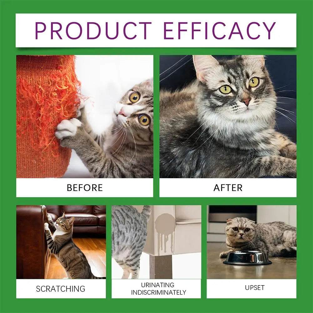 Gentle Cat Calming Diffuser with Heater Natural Extracts Reduce Anxiety Quiet Comfort Easy Use Home Pet Care Safe Design