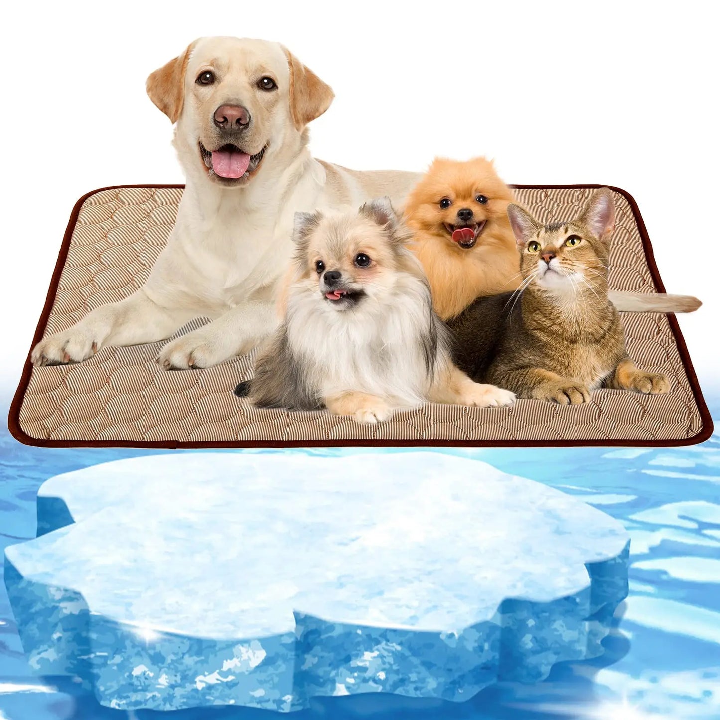 Pet Cooling Mat for Dogs and Cats Moisture Proof Breathable Durable Cooling Bed Summer Comfort Pad Small Large Pets Use