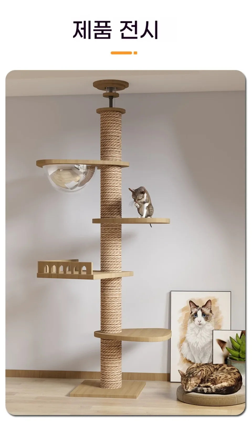 Cat Tree Floor To Ceiling Cat Tower with With Scratching Post Hammock Floor to Ceiling Pet Tree House Pet Furniture Climbing Toy