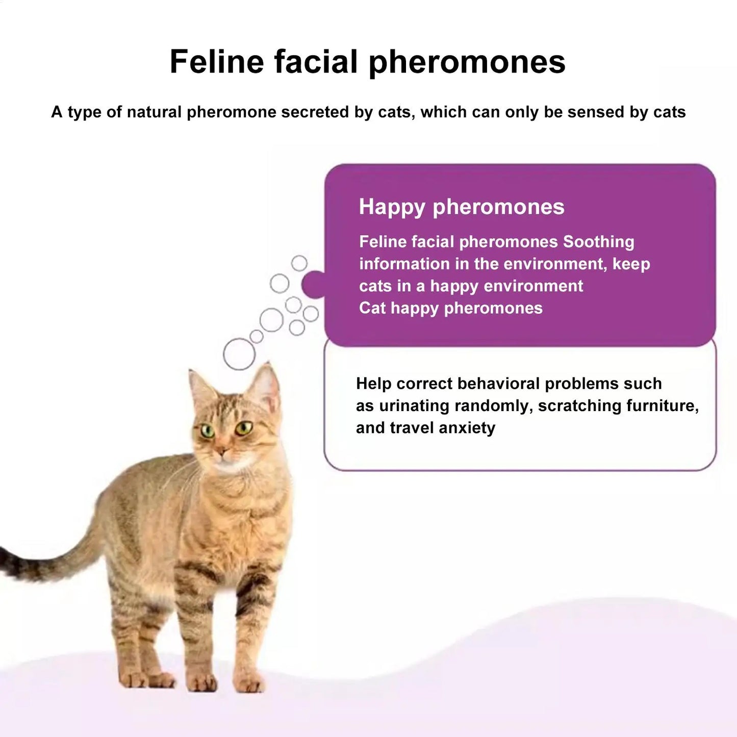 Long-Lasting Cat Pheromone Diffuser Pheromone Diffuser to Calm Pets Quiet Comfort Supplies Stress Plug for Travel Kitten